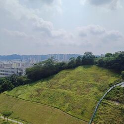 Blk 432A West Scape @ Bukit Batok (Bukit Batok), HDB 5 Rooms #475510501
